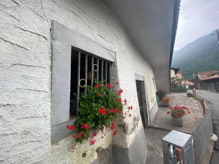 Casa Vacanze Il Pettirosso. Pisogne Exterior photo